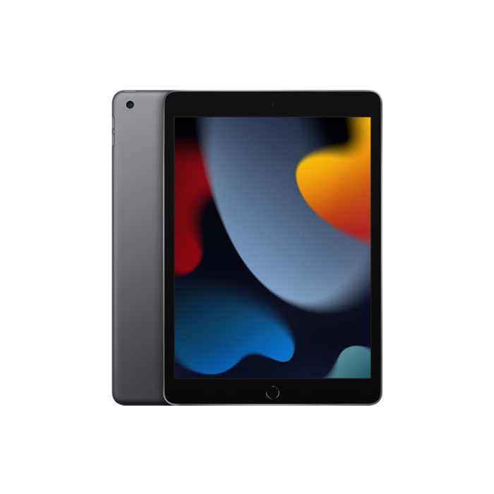 Tablet Apple iPad 10.2 9.Gen 256GB WiFi - Grey